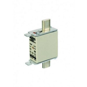 100A Battery Fuse
